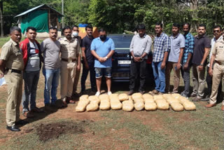 Two arrested cannabis in Walayar  വാളയാറിൽ വൻ കഞ്ചാവ് വേട്ട  വാളയാർ അതിർത്തിയിൽ രണ്ട് പേർ പിടിയിൽ