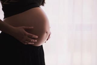 Research shows that viral infection during pregnancy affects maternal care behavior  ഗർഭകാലത്തെ വൈറൽ അണുബാധ  ഗർഭകാലത്തെ വൈറൽ അണുബാധ മാതൃ പരിചരണ സ്വഭാവത്തെ ബാധിച്ചേക്കാം  മാതൃ പരിചരണ സ്വഭാവത്തെ ബാധിക്കുന്ന വൈറൽ ഇൻഫക്ഷൻ  ഗർഭകാലത്തെ വൈറൽ അണുബാധ അമ്മ ശിശു ബന്ധത്തെ ബാധിക്കുന്ന രീതി  ഗർഭാവസ്ഥയിലെ വൈറൽ ഇൻഫക്ഷൻ  വൈറൽ അണുബാധ മാതൃ പരിചരണ സ്വഭാവത്തെ ബാധിക്കുന്ന രീതി