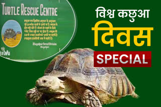 Turtle Rehabilitation Center In Bhagalpur