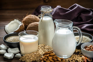 Plant based milk products, is vegan milk good for health, is cow milk good for health, benefits of cow milk, plant based dairy alternatives, nutrition tips, healthy food tips