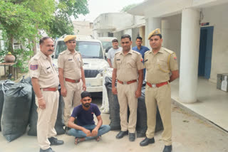 Illegal doda sawdust seized in Chittorgarh