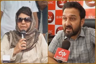 central-govt-trying-to-disempower-local-youths-in-j-and-k-says-mehbooba-mufti