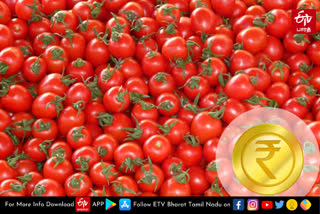 Tomato Price in Chennai Koyambedu