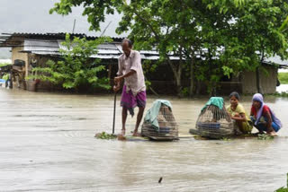 daily flood report in ASDMA