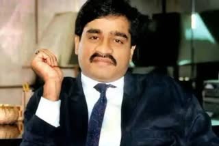 Don Dawood Ibrahim