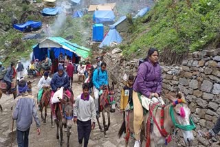 Chardham yatra uttarakhand