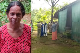 Mentally Challenged daughter hacks mother  Mentally Challenged daughter killed mother  മകൾ അമ്മയെ വെട്ടിക്കൊന്നു  മാനസിക രോഗിയായ മകൾ അമ്മയെ വെട്ടിക്കൊന്നു  കോട്ടയം പാദുവാ വാര്‍ത്ത