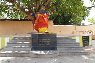 tree under which Lord Buddha got enlightenment