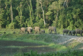 Mamata Govt New Guidelines for Forest Tourism