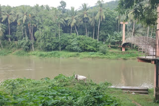 goa model project in karimbuzha river palakkad  water conservation in palakkad district  projects and plants taken by the palakkad district panchayath for water conservation  പാലക്കാട് കരിമ്പുഴ പുഴയില്‍ ഗോവന്‍ മാതൃകയില്‍ തടയണ  ഒരു കോടി ഏഴുലക്ഷം രൂപയാണ് തടയണ നിര്‍മാണത്തിനായി പാലക്കാട് ജില്ലാ പഞ്ചായത്ത് വകയിരുത്തിയത്‌