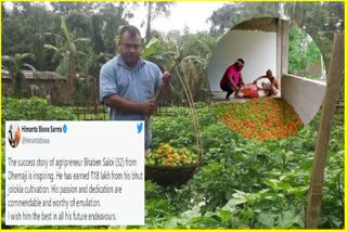 Bhut jolokia cultivation