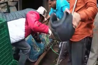 LEOPARD RESCUE IN KARSOG