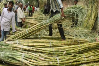 ஜூன் 1 முதல் சர்க்கரை ஏற்றுமதிக்கு கட்டுப்பாடு