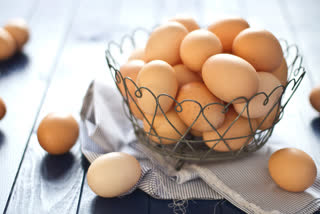 Eating eggs can boost heart health says Study  health benefits of eggs  how are eggs good for health  healthy food tips  മുട്ട കഴിക്കുന്നത് ഹൃദയാരോഗ്യം വർധിപ്പിക്കുമെന്ന് പഠനം  പതിവായി മുട്ട കഴിക്കുന്നത് നല്ലത്  മുട്ട കഴിക്കുന്നതുകൊണ്ടുള്ള ഗുണങ്ങൾ  മുട്ടയുടെ ആരോഗ്യ ഗുണങ്ങൾ  മുട്ട ആരോഗ്യത്തിന് നല്ലതാണോ  eggs for heart health