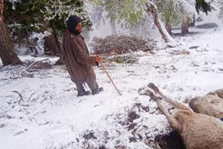 Lightning strikes in Kokernag today