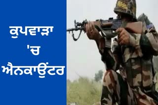 Three militants killed in Kupwara Gunfight, Arms and Ammunition recovered: IGP Kashmir