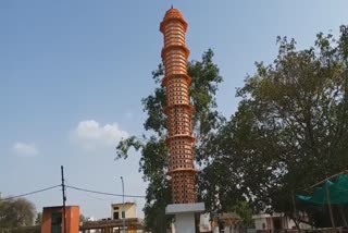 Thousands of birds shelter prepared in lamppost in indore