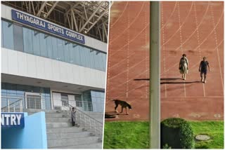 IAS couple in Thyagraj Stadium