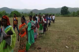Villagers coming to vote after walking several kilometers for Panchayat elections in Latehar