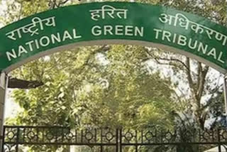 NGT stays concretisation of roadsides in Noida and Greater Noida