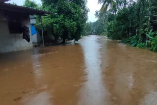 kerala monsoon  adimali waterlogging  monsoon fear  കാലവർഷ ഭീതി  കാലവർഷ ഭീതിയിൽ അടിമാലി പത്താംമൈൽ സ്വദേശികള്‍