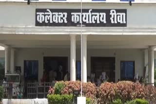 Rewa Collectorate Office