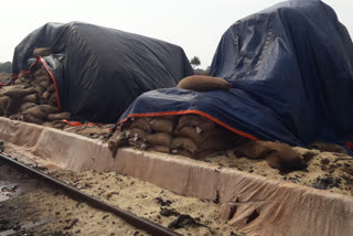 Goods train  Jharkhand  Train delayed by a year  food grains rot  Train takes one year to reach destination  ന്യൂ ഗിരിദിഹ് റെയില്‍വേ സ്റ്റേഷന്‍  ധാന്യങ്ങള്‍ പാഴാഴി  ട്രെയിന്‍ വൈകിയത് ഒരു വര്‍ഷം  ചരക്ക് തീവണ്ടി വൈകിയത് ഒരു വര്‍ഷം