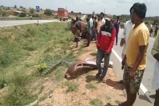 two road accidents in Vijayanagara two death and 8 people Injury