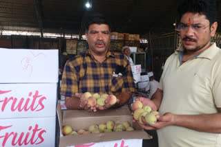 pahari fruit supply from haldwani mandi