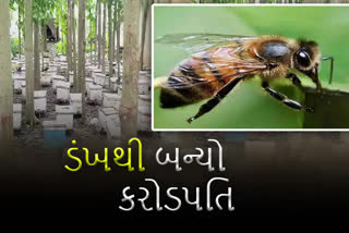 મધમાખીના ડંખે બિહારના નિશાંતને બનાવી દીધો કરોડપતિ, દરેક ગ્રામની કિંમત 8 થી 12 હજાર