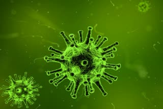 medical  Up Corona Update  Corona Virus In Uttar Pradesh  up me covid cases  UP Coronavirus