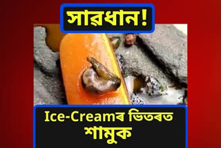 আইচক্ৰীমত বিষাক্ত পতংগ: খাওতে সাৱধান হওঁক