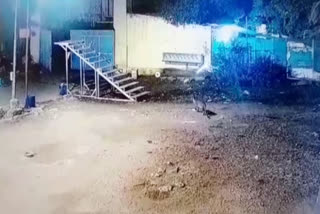 மருதமலை முருகன் கோவிலில் சிறுத்தை நடமாட்டம்- சிசிடிவி காட்சிகள்