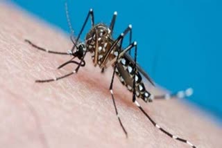 gene-drive-for-prevention-of-malaria