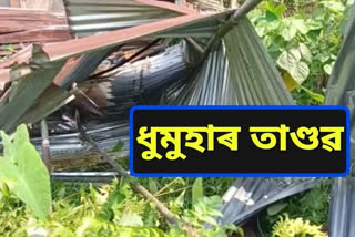 severe damage caused by storm in lakhimpur