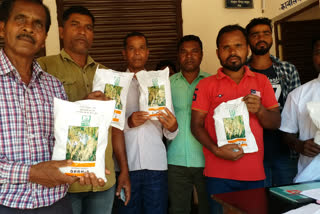 Only registered farmers will be able to buy subsidized paddy seeds