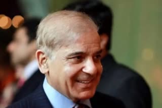 Pakistan PM Shehbaz calls himself majnoo, tells court he refused salary as Punjab CM