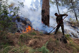 Forest fires in Rajouri, Poonch