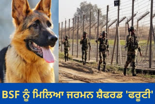 ਭਾਰਤ ਦੀਆਂ ਸਰਹੱਦਾਂ ਤੇ BSF ਨਾਲ ਜਰਮਨ ਸ਼ੈਫਰਡ ਡੌਗ ਰੱਖਿਆ ਡਰੋਨਾਂ ਤੇ ਨਜ਼ਰ