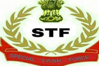 बिहार STF