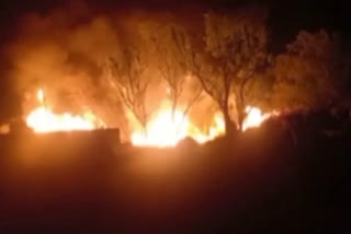 Fire in forest of Alwar