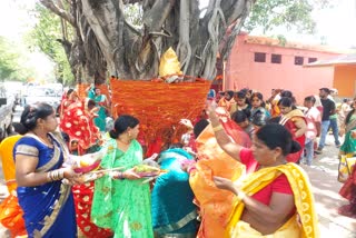 enthusiasm-among-women-for-vat-savitri-puja-in-ranchi