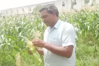 Panipat farmer suresh