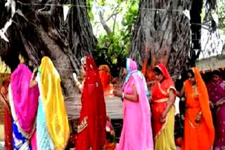 women worshiped Vat Savitri
