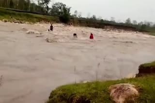 Flash Flood Viral Video