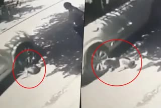 Man runs car over stray dog