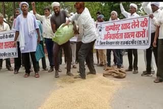 Farmers demonstrated by throwing paddy on the road