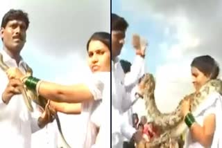 bride-and-groom-exchange-snake-garlands