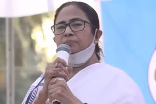 west bengal cm mamata