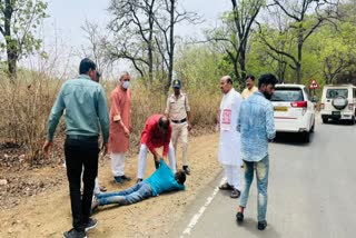 Two youths were injured on the road in the forests of the Ghat